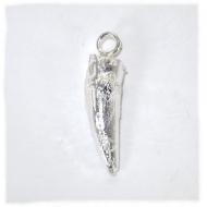 Silver spinosaur tooth pendant